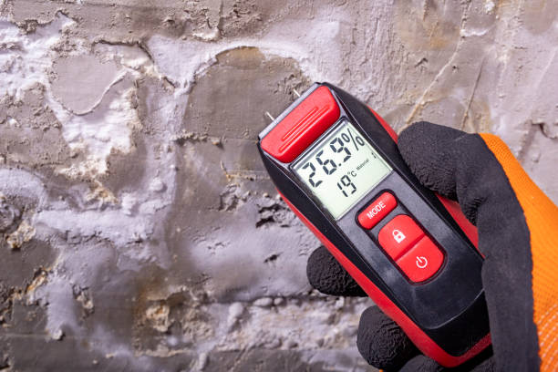 Best Localized Mold Remediation (e.g., coastal areas, humid climates) in Lost Hills, CA