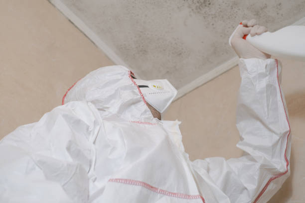 Best Bathroom Mold Remediation in Lost Hills, CA